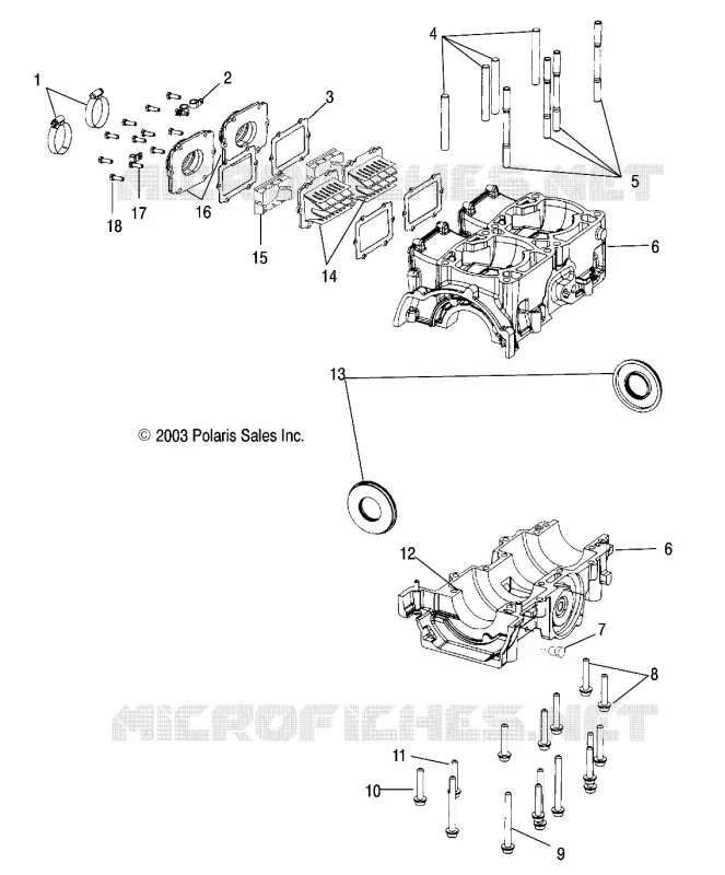 CARTERS MOTEUR - S04NX4CS/CE (4988778877C08) Polaris SNOWMOBILES 440 2004 440 PRO XR  440 PRO XR
