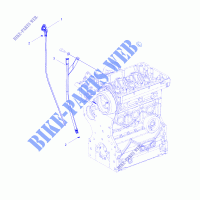 ENGINE, JAUGE D'HUILE AND GUARD   R16B1PD1AA/2P (49BRUTUSDIPSTICK15DSL) pour Polaris RANGER HST de 2016