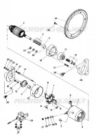 DEMARREUR Trail ES and Deluxe (4915441544031A) pour Polaris OTHERS de 1989
