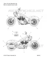 EMBLEMES   V17CWAAB/CWBAB ALL OPTIONS (800103) pour Polaris HIGH BALL ALL de 2017