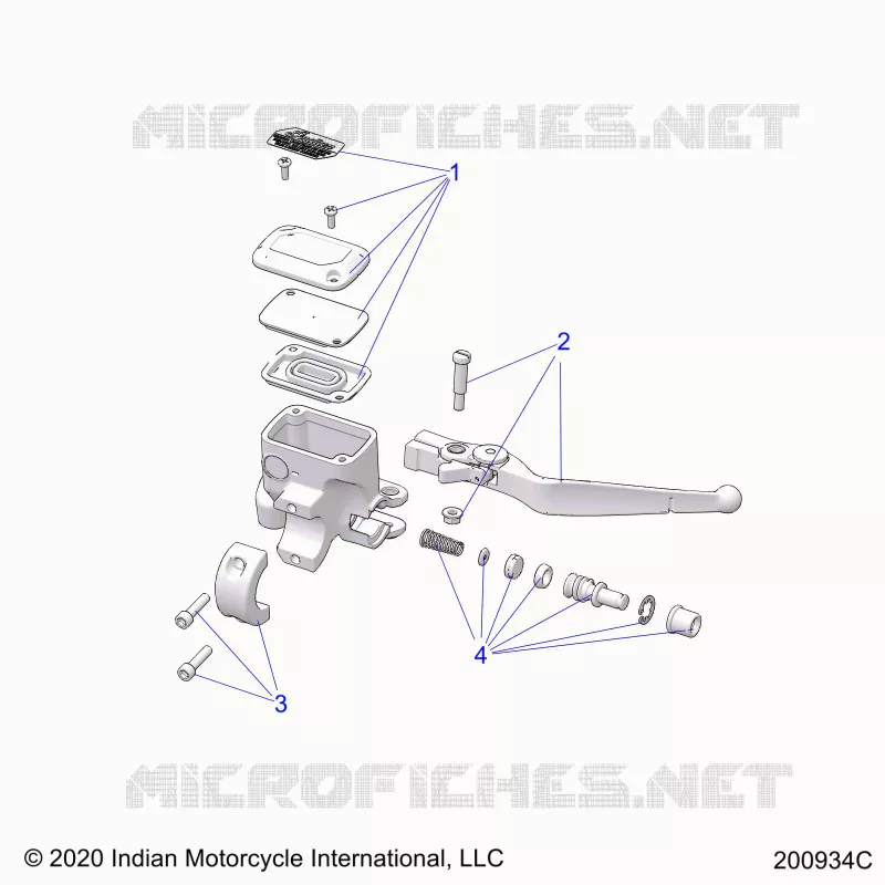 FREIN AVANT, LEVER AND MASTER CYLINDER - N21TKDBB ALL OPTIONS (200934C) Polaris INDIAN MOTORCYCLE 1900 2021 ROADMASTER DARK HORSE  ROADMASTER DARK HORSE