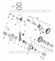 VILEBREQUIN AND PISTON 350 2X4 / W927539 (4922882288032A) pour Polaris TRAIL BOSS 350L 2X4 de 1992